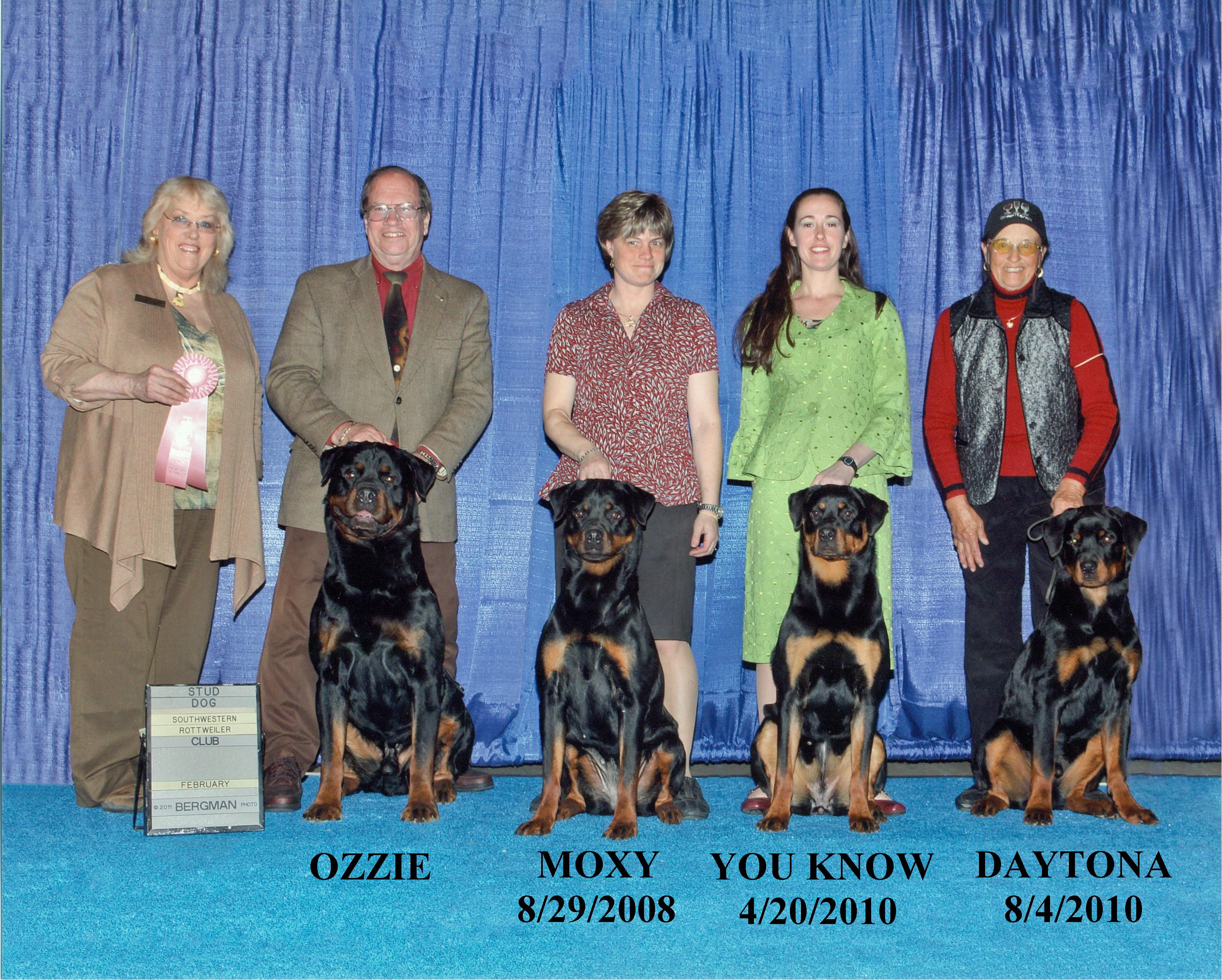 names for rottweilers puppy biting to stop it buzzfeed what of are you rottweiler names names for rottweilers puppy biting to stop it buzzfeed what of are you rottweiler names