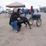 "Ozzinator Cart Master"