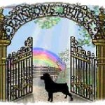 rainbow_bridge_sm
