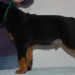 Green Stack 7 Weeks Green Stack 7 Weeks