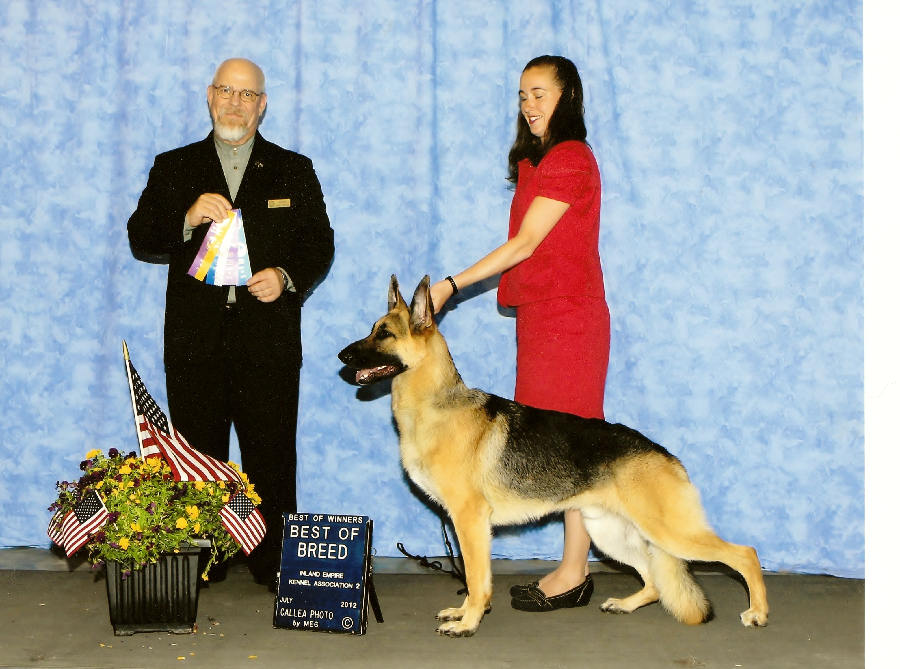 seizures in rottweilers imgmorgan 187 2infinity rottweilers seizures in rottweilers imgmorgan 187 2infinity rottweilers