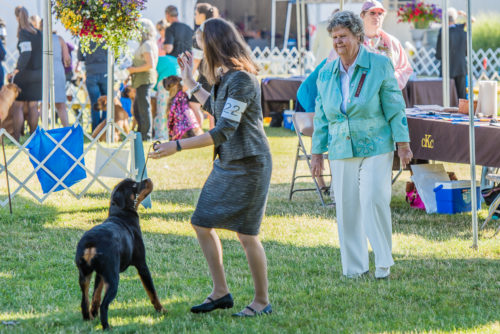 I Know Clackamas Kennel Club