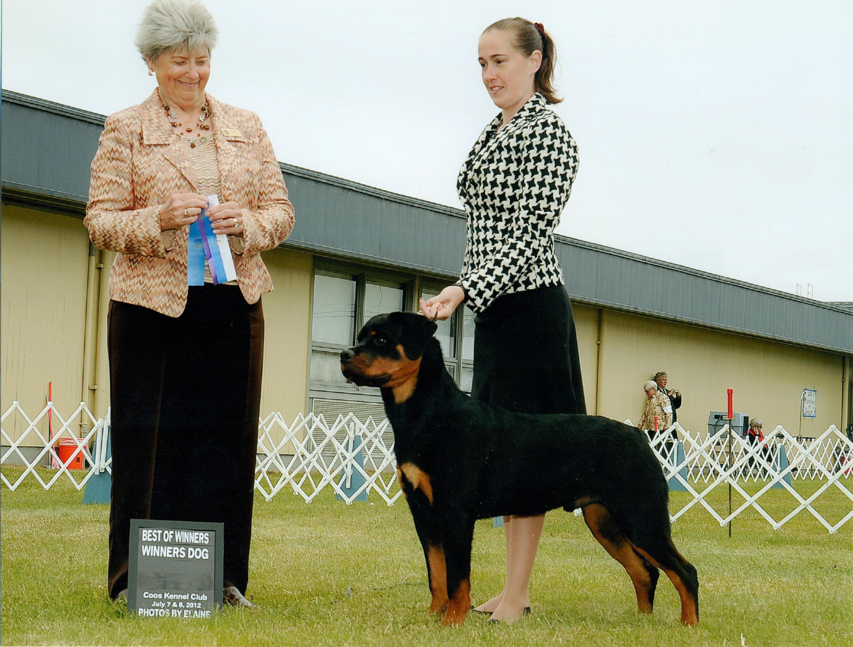 2 Infinity Rottweilers Xander’s Gallery – 2Infinity Rottweilers LLC
