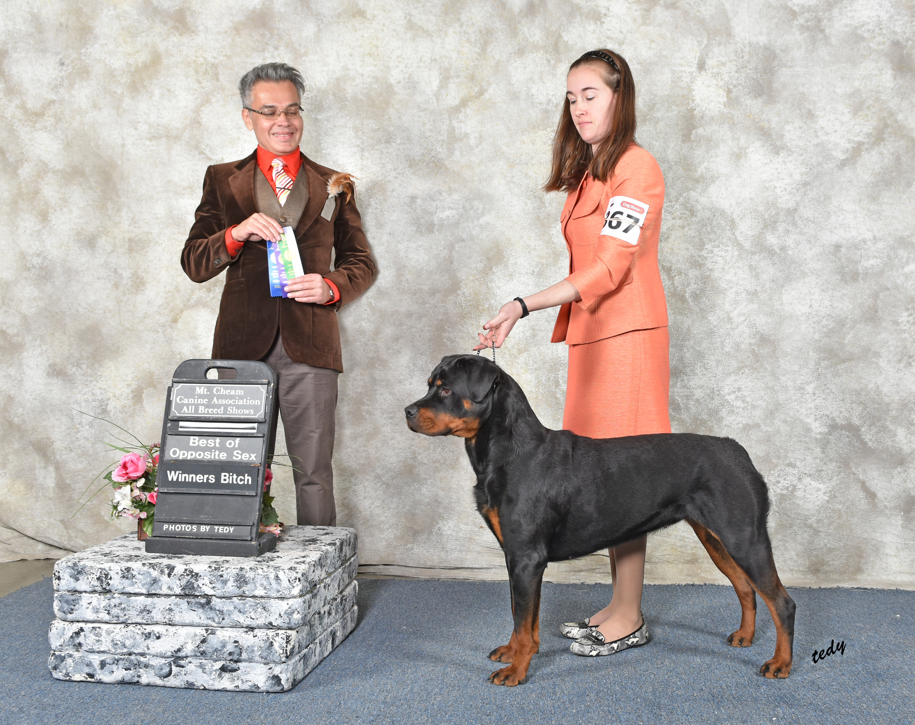 2 Infinity Rottweilers Don’t Know – 2Infinity Rottweilers LLC