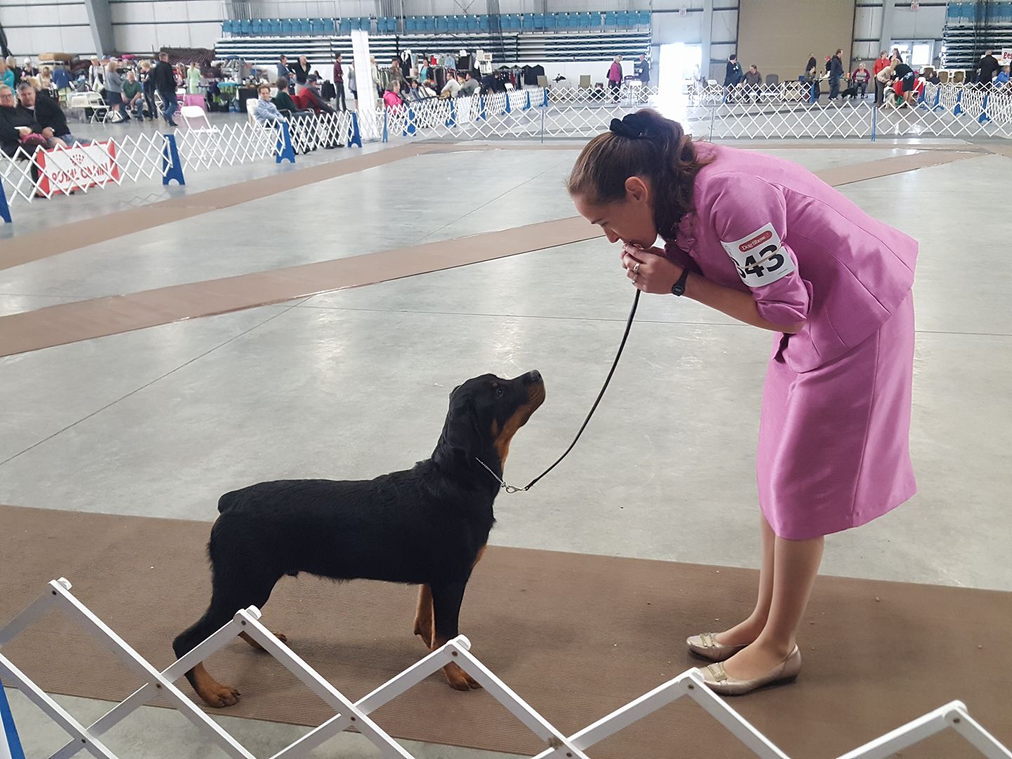 2 Infinity Rottweilers Porter’s Gallery – 2Infinity Rottweilers LLC