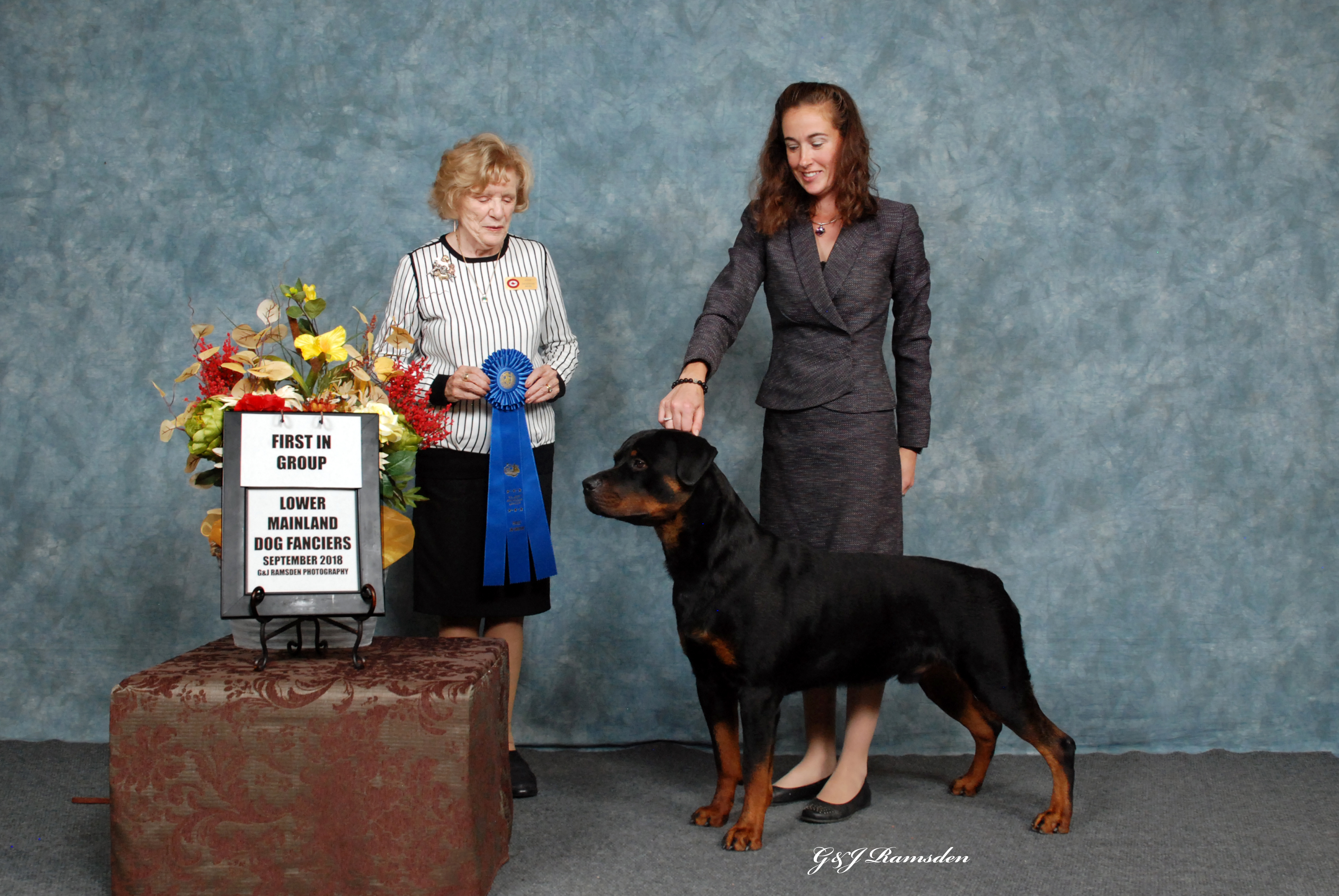 2 Infinity Rottweilers Capt Morgan’s Gallery – 2Infinity Rottweilers LLC