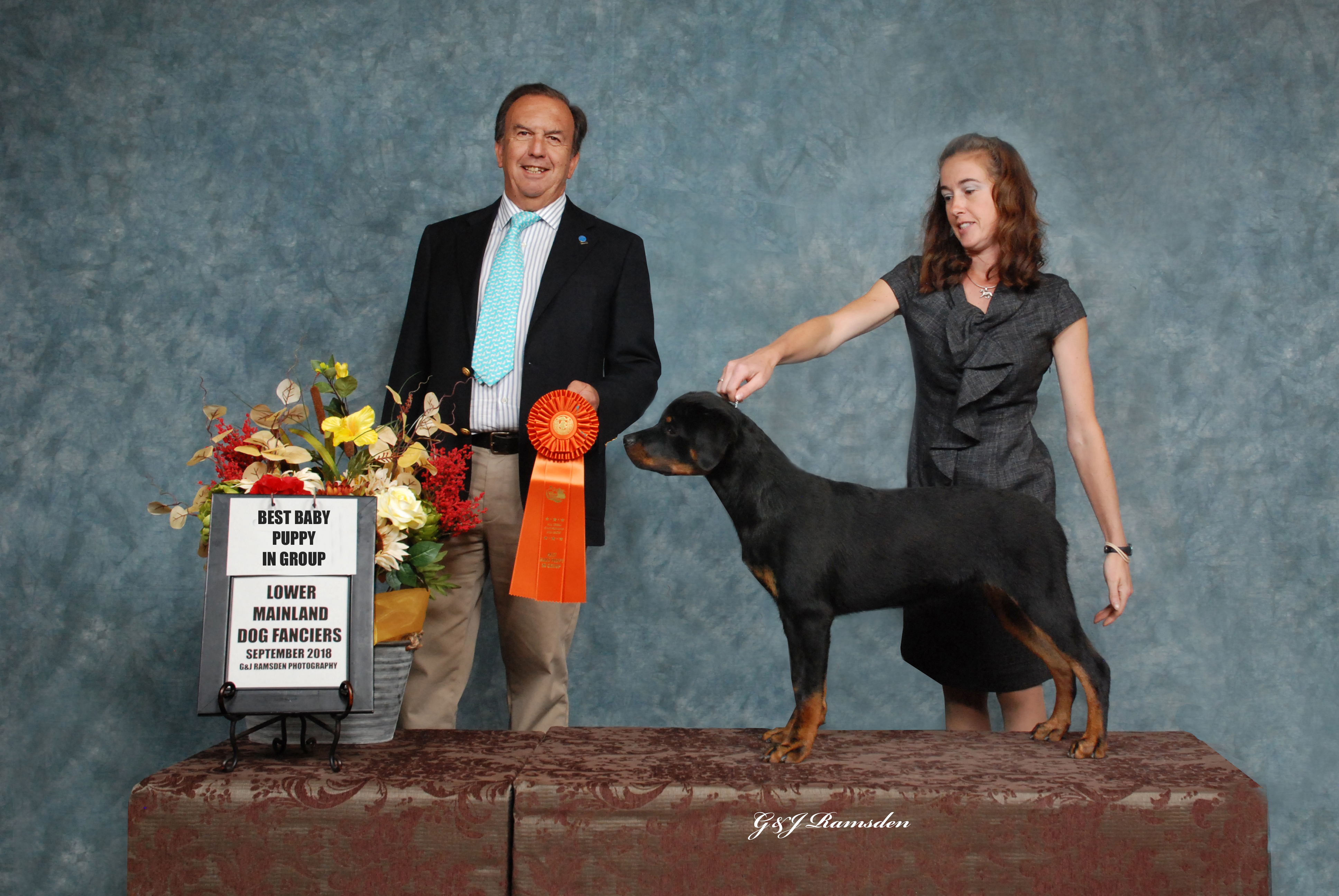 2 Infinity Rottweilers Plum’s Gallery – 2Infinity Rottweilers LLC