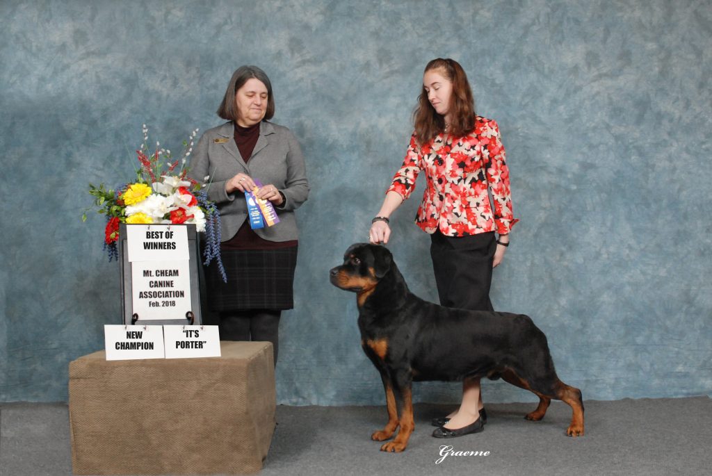 2 Infinity Rottweilers 2017 – 2Infinity Rottweilers LLC