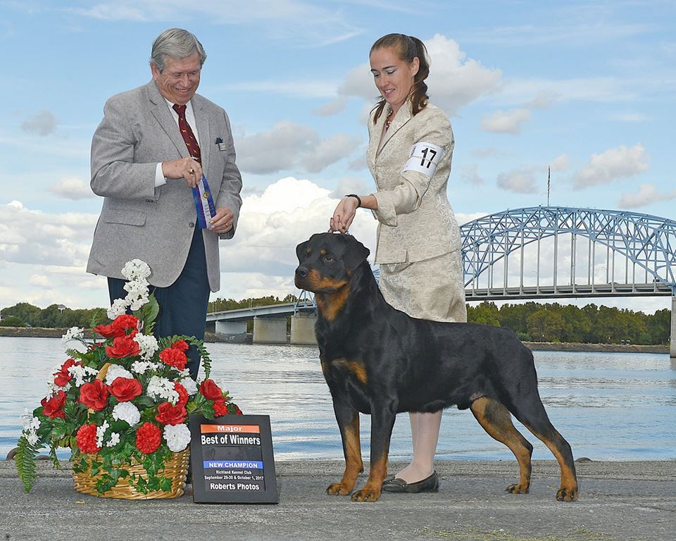 2 Infinity Rottweilers 2017 – 2Infinity Rottweilers LLC