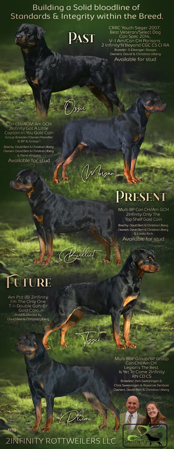 2Infinity Rottweilers LLC