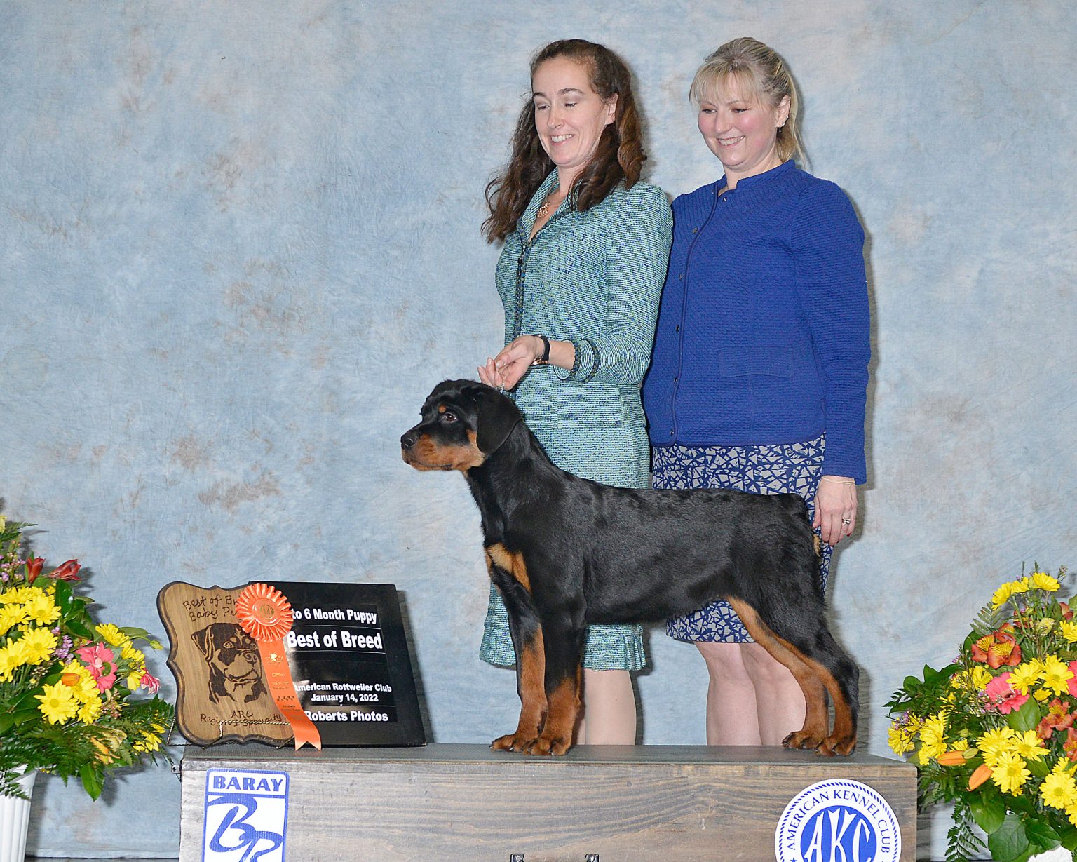 2 Infinity Rottweilers 2Infinity Rottweilers LLC
