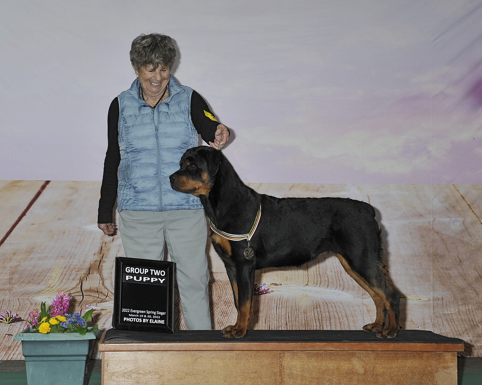 2Infinity Rottweilers LLC