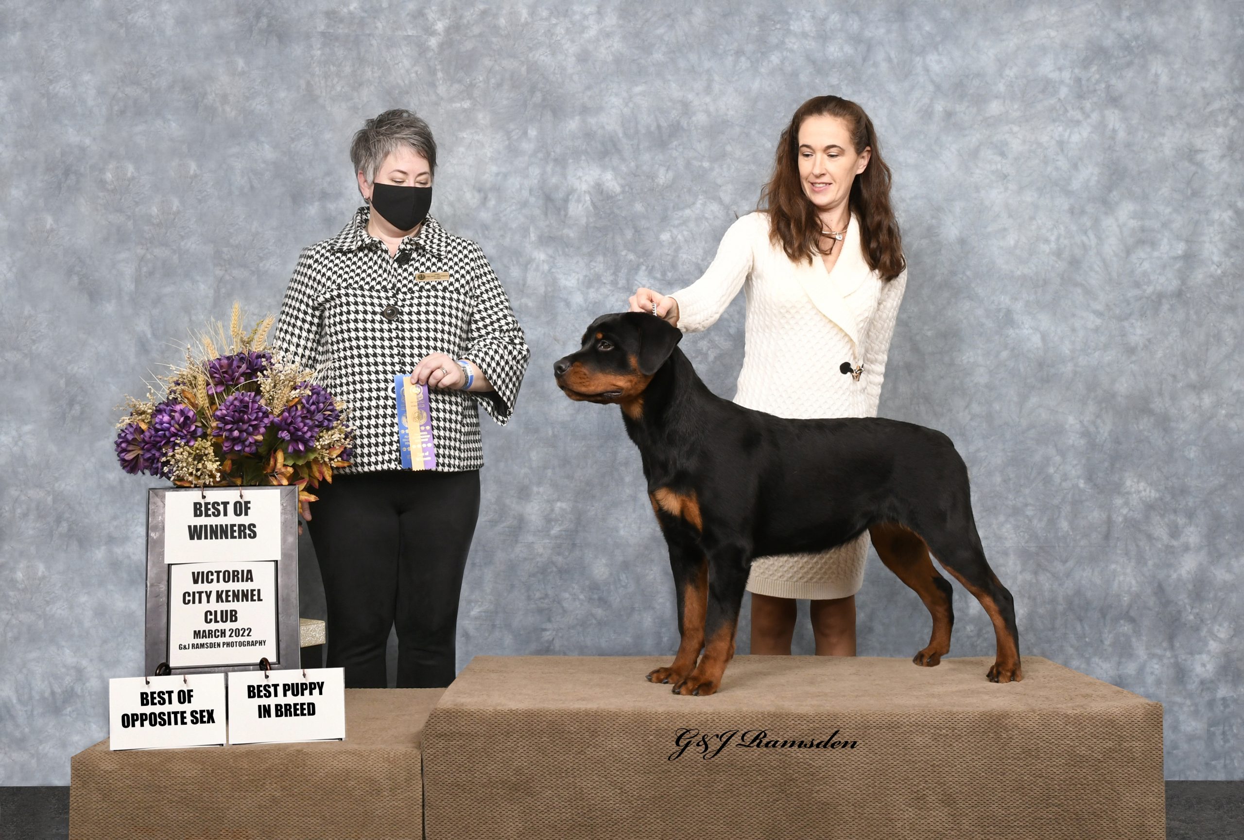 2 Infinity Rottweilers Canada has a FAVOR`ite – 2Infinity Rottweilers LLC