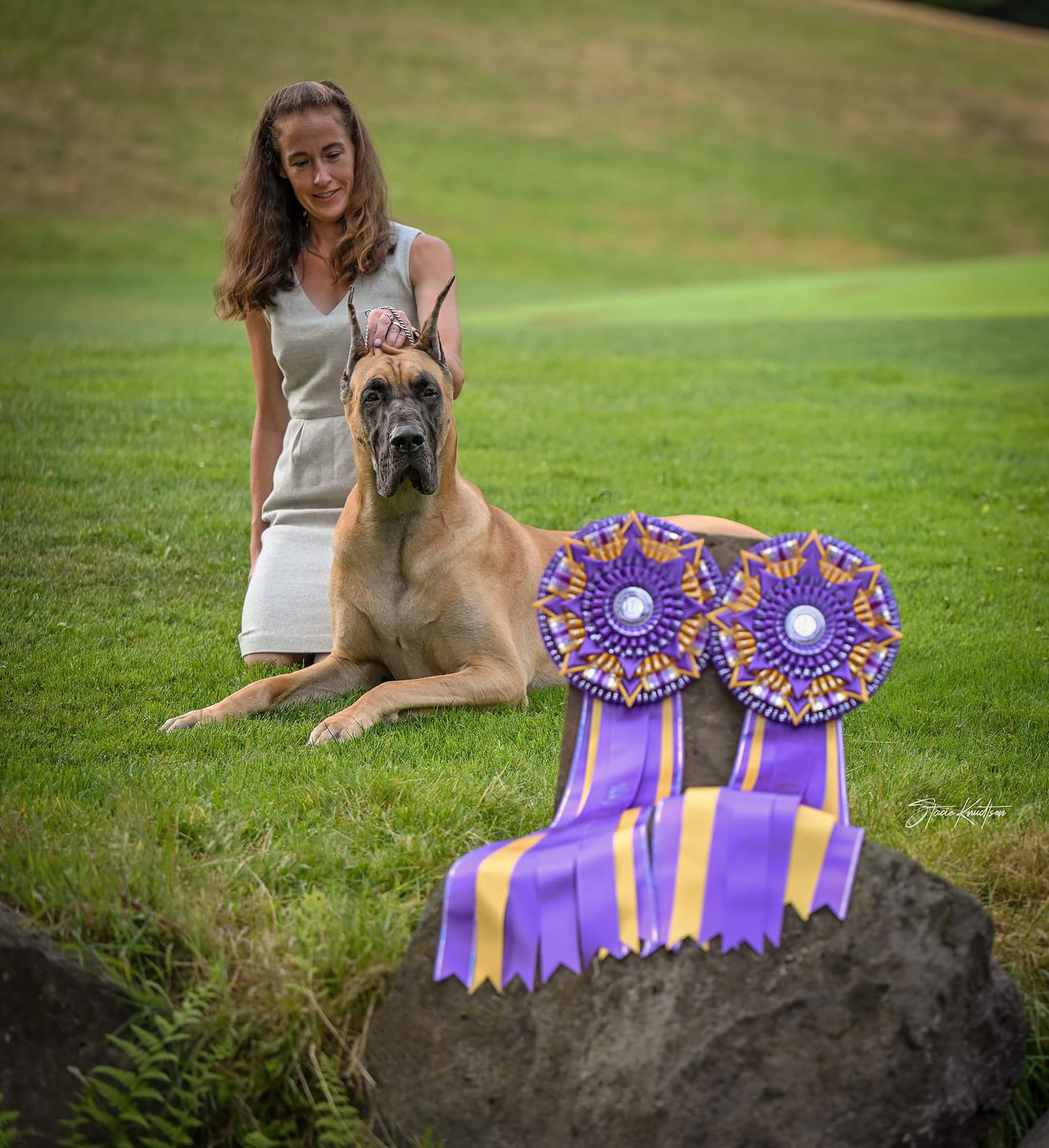 2 Infinity Rottweilers Professional All Breed Dog Handling – 2Infinity Rottweilers LLC