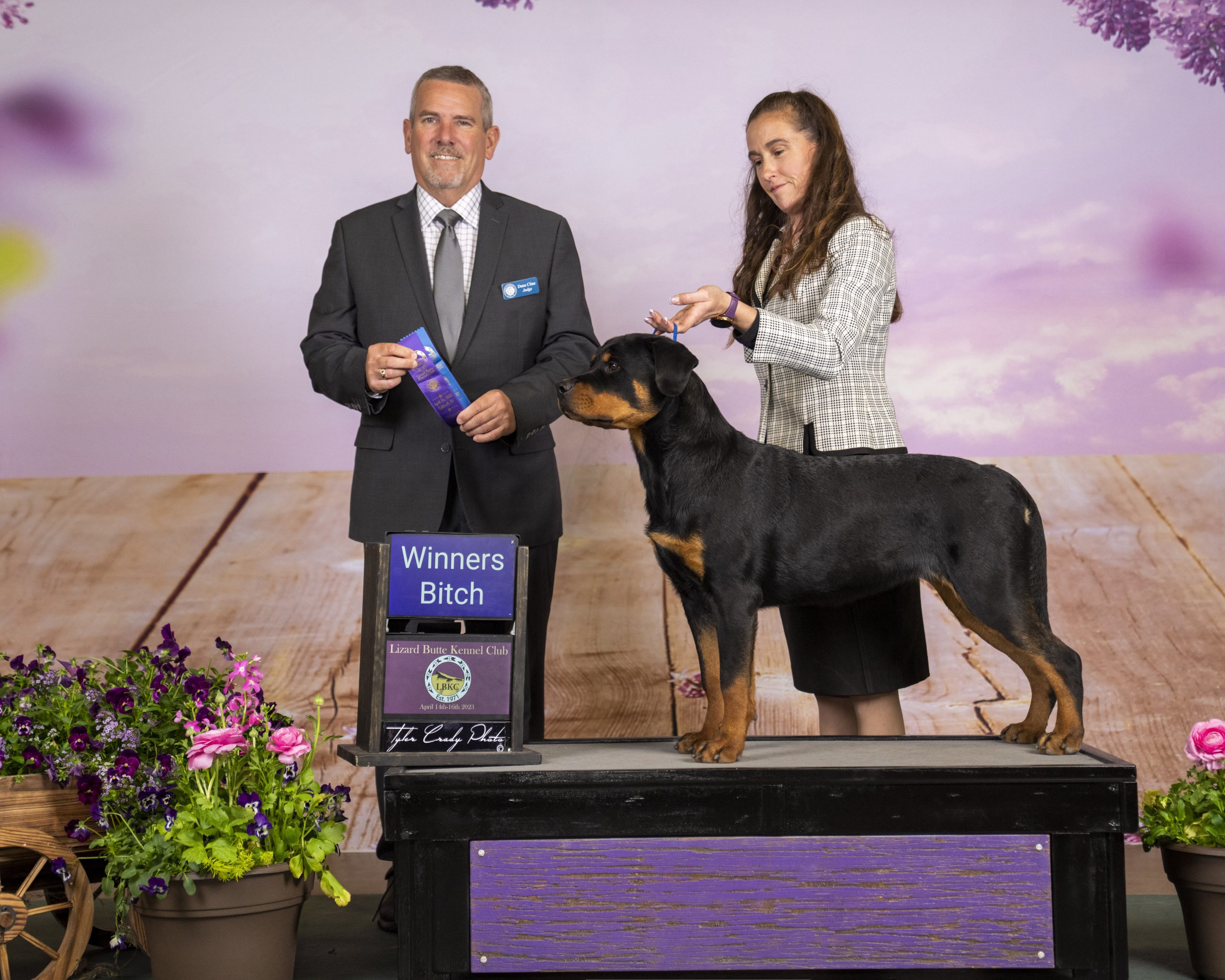 2 Infinity Rottweilers Sangria’s Gallery – 2Infinity Rottweilers LLC